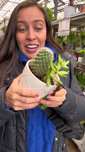 Cactus Propagation Tips for Successful Growth