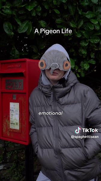 We’re back. #ukcomedy #britishcomedy #ukcreator | Pigeons