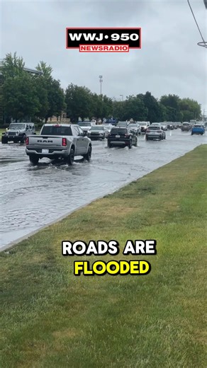 102K views · 895 reactions | Major flooding in Macomb County. Keep it tuned to @WWJ950 for traffic and weather together on the 8's . WWJ's Tim Pamplin reports. | WWJ Newsradio 950 | Facebook