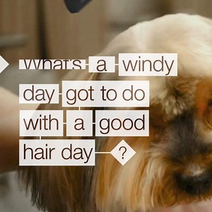 16 reactions | The Great Grid Upgrade will help the UK switch to renewable energy. Connecting clean wind power to your blowdry. Stunning. | National Grid | Facebook