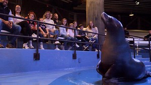 🚨 Attention Georgia! 🚨 For the first time, we're offering an exclusive pass just for you! Our new Resident Pass lets Georgia residents return for all of 2023 for the same price as a single-day admission ticket (you read that right)! The Resident Pass is only available until Feb. 15 so don't wait! Check out our website for more details and to purchase. www.georgiaaquarium.org/resident-pass | Georgia Aquarium