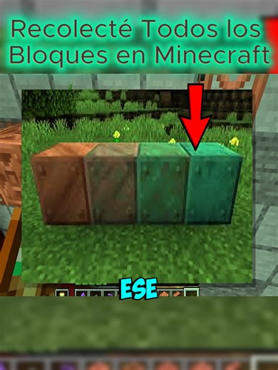 Collecting All Blocks in Minecraft: A Challenge