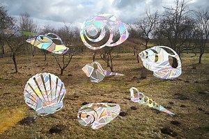 7 Seashells Suncatcher, Seashell Window Decal, Rainbow Maker, Seashell Suncatcher for Window, Rainbow Suncatcher Sticker - Etsy Australia