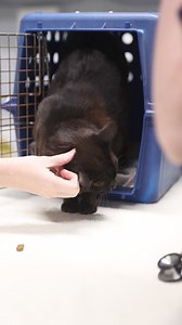 2.8K views · 702 reactions | Whether you're looking to upskill, reskill, or explore new passions, take the next step in your career journey with us. | South Metropolitan TAFE | Facebook