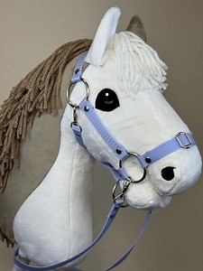 Hobby Horse Pinto Gray and White A4 or A3 Size. Ideal Riding & Jumping Gift. - Etsy