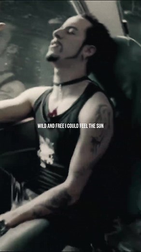 Exploring the Emotional Depths of 'Show Me The Meaning Of Being Lonely' by Backstreet Boys