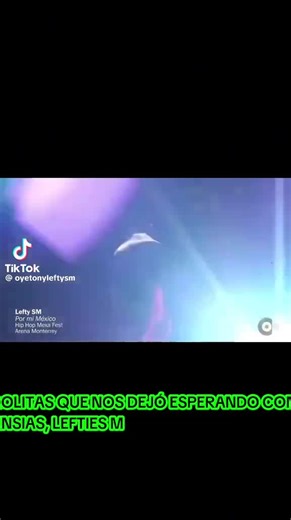 Videos de Cotorrito Marin (@cotorrito.marin) con “sonido original - Cotorrito Marin”