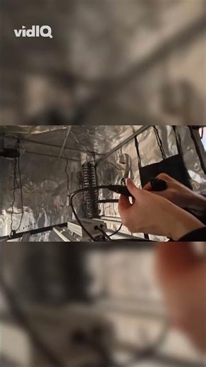 So wird’s smart! 🤖 Spider Farmer G5000 Setup mit Treiber & GGS Modul!