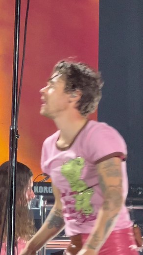 Harry Styles Live Concert: Best Video Ever!