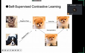 Contrastive Learning 基础讲解