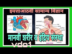 इ.8 वी |सामान्य विज्ञान |11.मानवी शरीर व इंद्रिय संस्था|1|8th science| Manvi sharir v indriy sanstha
