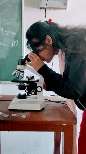 Microscope Slides Explained for Students | Biology Basics