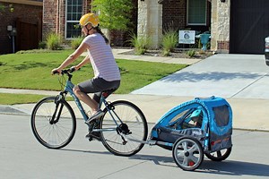 InStep Bike Trailer Review