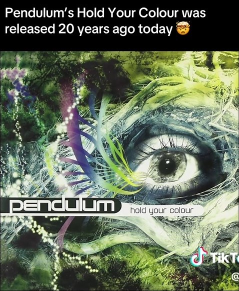 Celebrating 20 Years of Pendulum's Hold Your Colour