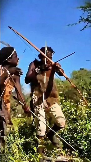 “Rare Forest Moment: Two Deer Interaction Caught During a Jungle Patrol | Wildlife Documentary”