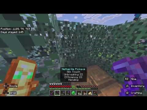 Hardcore Minecraft 164 Decoration Destruction