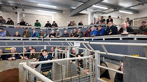 Melton Mowbray Market on Reels