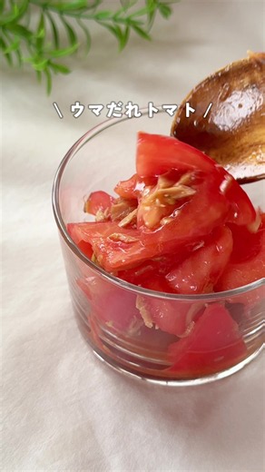 レシピはこちら👉 飲めるほど美味しい… 旨だれトマト☺️🍅✨ ✎ 𓂃𓈒 材料(2-3人分)𓈒𓂃 ✎ ・トマト…2個 ・ツナ缶…1缶 ◎砂糖…小1/2 ◎レモン汁…小1 ◎醤油…大1 ◎ごま油…大1 ✎ 𓂃𓈒 作り方𓈒𓂃 ✎ ① トマトを食べやすい大きさにカット ② ツナ缶の水気をよく切る ③ ボウルにトマト・ツナ・◎の調味料を入れて和えたら完成！ ✎ 𓂃𓈒 ポイント𓈒𓂃 ✎ ☞ツナ缶は水気をしっかり切ると味がぼやけないよ！ ☞ノンオイルのツナ缶を使うとよりさっぱり仕上がるよ！ ☞オイル漬けのツナ缶を使う時はオイルを切ってから使ってね！ 𓂃 𓈒 𓂃 𓈒 𓂃 𓈒 𓂃 𓈒 𓂃 𓈒 𓂃 𓈒 𓂃 𓈒 #簡単レシピ #トマトレシピ