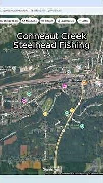 Conneaut Creek Ohio Steelhead Fishing Spots!