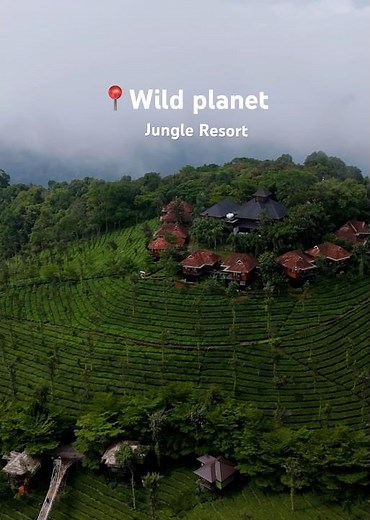 Wild Planet Jungle Resort #devala #nilgris #ooty #travel #nature #holidays #hotel #nilgiristourisum
