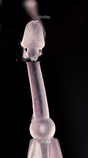 Urday on Instagram: "How to cut a clothes tag"