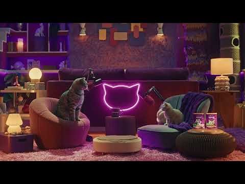 Cat Communication: Why Do Cats Purr? | WHISKAS® Purrcast