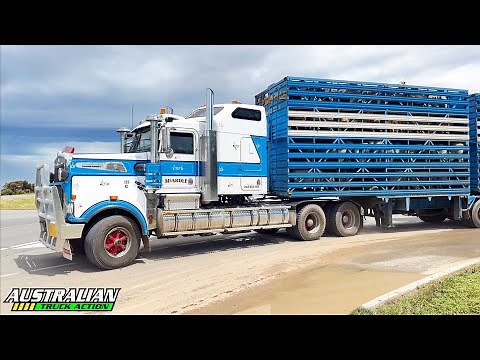 Australian Livestock Trucks Compilation #2