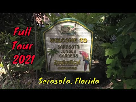 Sarasota Jungle Gardens Full Tour - Sarasota, Florida