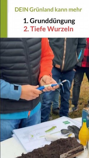 Grunddüngung ist Voraussetzung für tiefe Wurzeln mit Rotklee | Wegwarte oder Spitzwegerich!