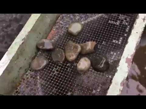 How To Wash River Rocks - Landscape Round Stones