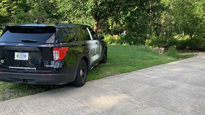 Grandmother dies after rescuing children from Brownsburg creek