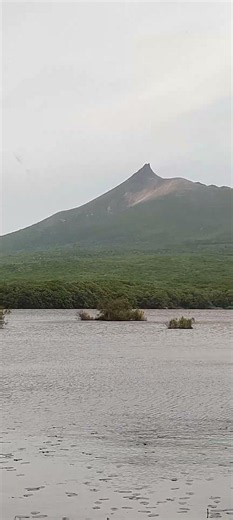 【駒ケ岳と大沼とコウホネ】 （2026/06/05）七飯町