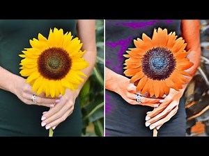 Easy Automation for Photos: Smarter-than-ever AI is at your fingertips.