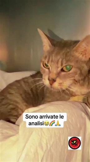 CIAO YARA ... non siamo riusciti a strapparti alla Fip, ci mancherai 🌈😭💔