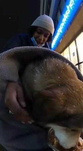 Nurse SECRETLY cares for a stray dog #puppy #cute #animals #love