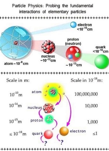 Elementary particles