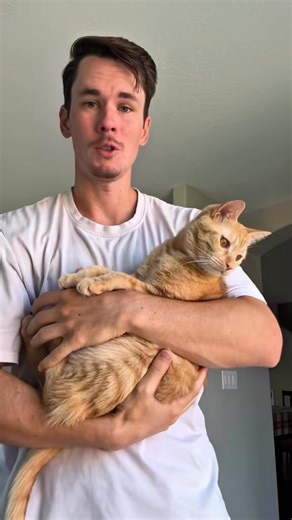 This camera from Pet Camera can seriously do it all! Make sure to take advantage of the deal going on right now and get one for you and your furry friend! Save up to 60% when you subscribe and | Ellie thetabby