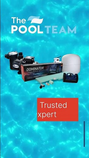 The Pool Team August 2025 Promo #keepswimming