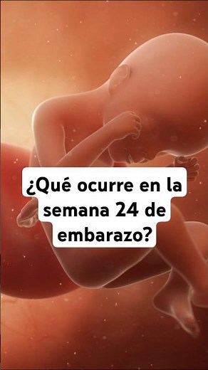 🤔 What happens at 24 weeks pregnant? 🤰 Symptoms and baby development