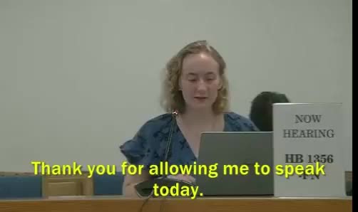My testimony for NH HB1356, which would extend the statute of limitations for medical malpractice lawsuits in cases of people who were harmed by pediatric medical transition. #ftmtf #detransition #detrans #gendercritical