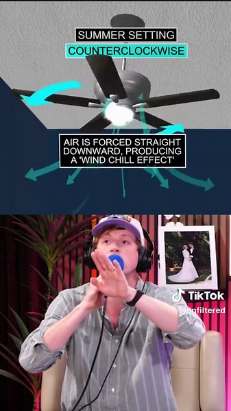 Ceiling Fan Direction: Summer vs Winter Guide