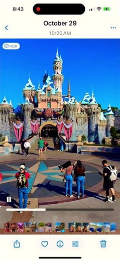 Disneyland Castle Drive-By View