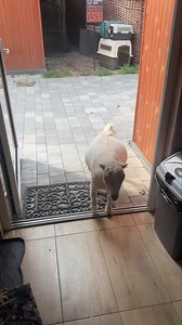 Święto Owcze ❤️Wrzuć https://pomagam.pl/pilnapomoczwierzetom 💪 Owcze prezenty ślij 🙂❤️❤️𝗽𝗿𝘇𝗲𝗸𝗮𝘇 𝘀𝘄𝗼́𝗷 % 𝗱𝗹𝗮 𝗭𝘄𝗶𝗲𝗿𝘇𝗮̨𝘁 𝗞𝗥𝗦 𝟬𝟬𝟬𝟬𝟯𝟭𝟯𝟴𝟰𝟳 🆘BLIK na telefon 733 300 285 ❤️ Jeżeli możesz proszę ustaw stałą pomoc to dla nas potrzebne wsparcie i pewność kolejnych dni. Pomoc https://fundacja-ada.org.pl/chce-pomoc/#wplata Fundacja ADA ul. Zamoyskiego 15 37-700 Przemyśl Santander Bank Polska S.A : 27 1500 1634 1216 3005 4390 0000 W tytule:wsparcie Przelewy z zagra