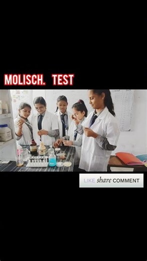 molisch test #funny #new #shorts #viral #trending #gseb #cbse #practical