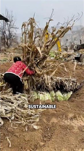 Ancient Underground Food Storage in China 🇨🇳