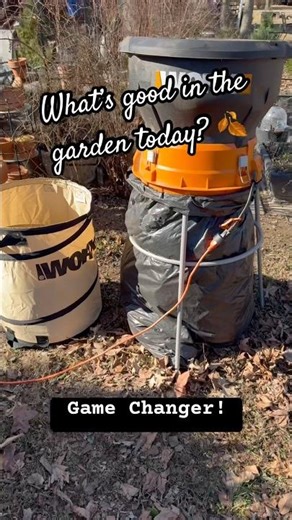 Best Leaf Mulcher! Garden Cleanup Time! 🍂 #shorts #beforeandafter #leafmulcher