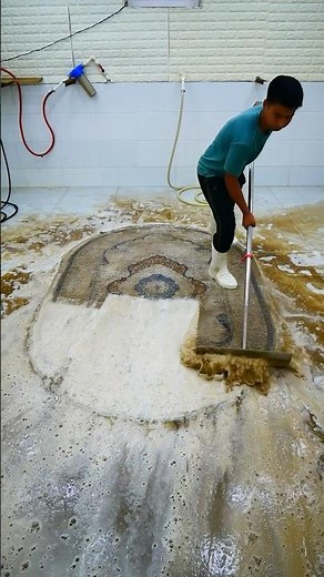 Mission Impossible: Saving the Dirtiest Rug Ever Recorded. Satisfying ASMR Carpet Cleaning #shorts