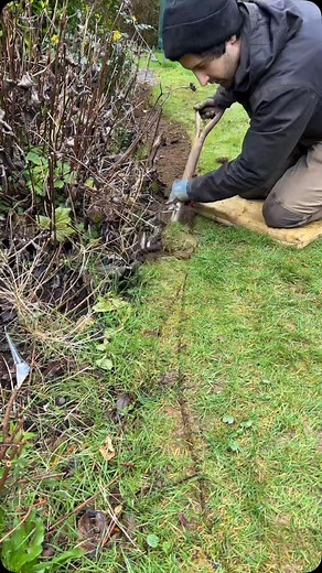 29K views · 10K reactions | Super satisfying garden border transformation  #satisfying #satisfyingvideo #transformation #garden #makeover #gardeninglife #beforeandafter #tidyup | Alexander’s gardening | Facebook