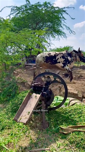 Old Engineering Amazing Speed Work On Gear Toka Machine #shortvideo #shortsviral #strongbull