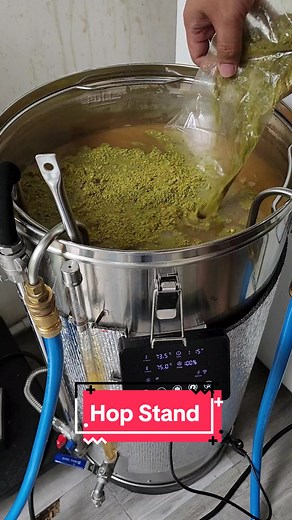 Discover the Art of Craft Beer Brewing at Home with HopStand